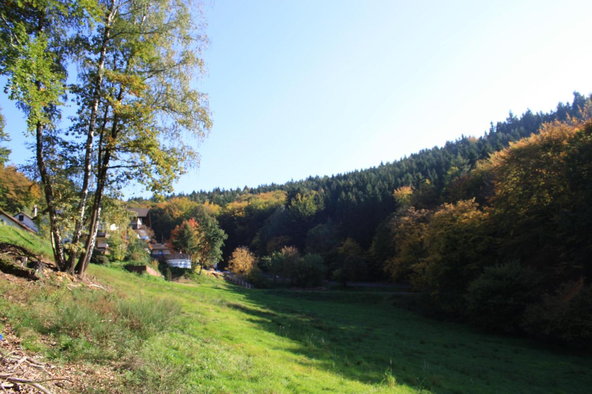 Wald-Hotel Heppe Dammbach Exterior photo